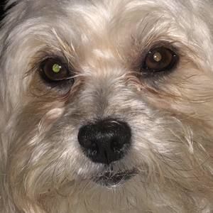 Meet your Posher, Marlene